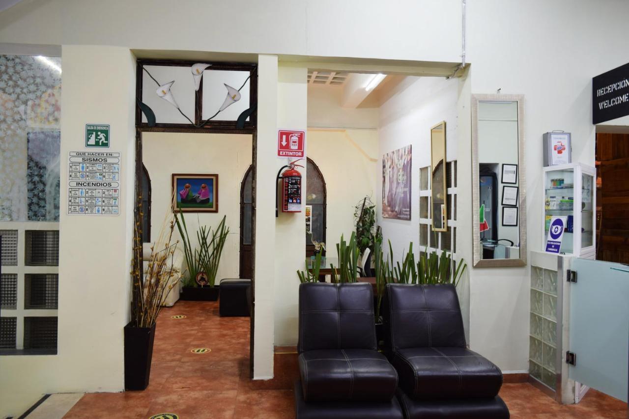 מקסיקו סיטי Hostel Plaza Mayor מראה חיצוני תמונה